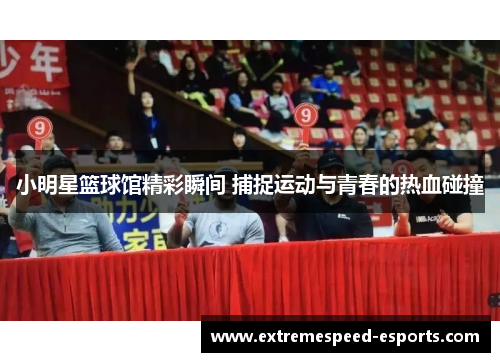 小明星篮球馆精彩瞬间 捕捉运动与青春的热血碰撞