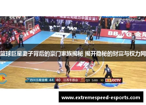 篮球巨星妻子背后的豪门家族揭秘 揭开隐秘的财富与权力网